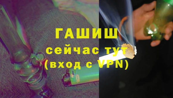 гашик Калининец