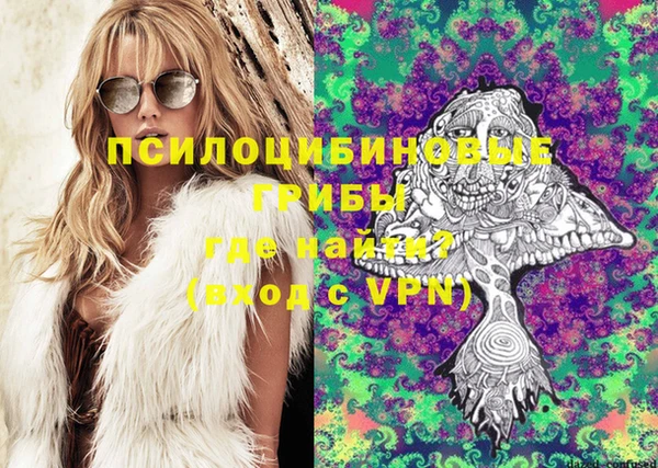 spice Михайловск