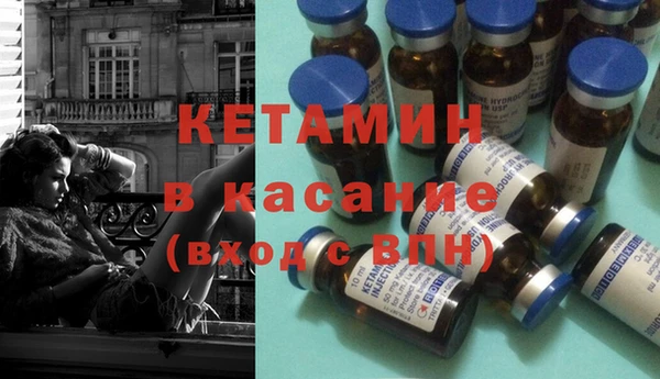 крисы Алзамай