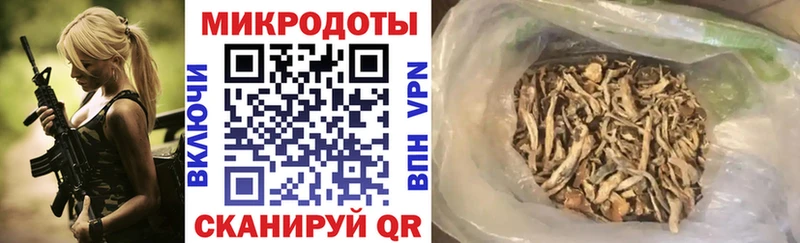 Псилоцибиновые грибы Magic Shrooms  купить  сайты  Нерчинск 